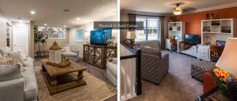 Neutral vs Bold Colors